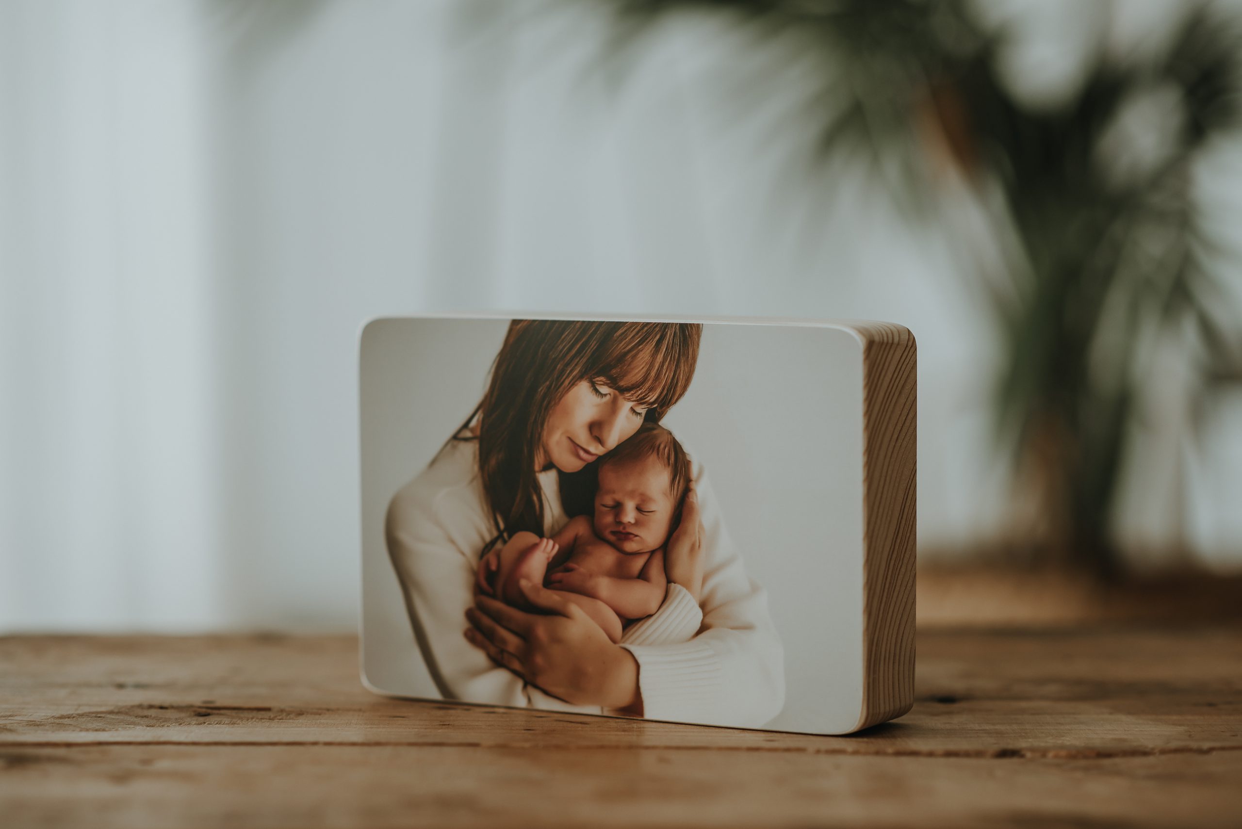 PRODUCTOS PARA DECORAR