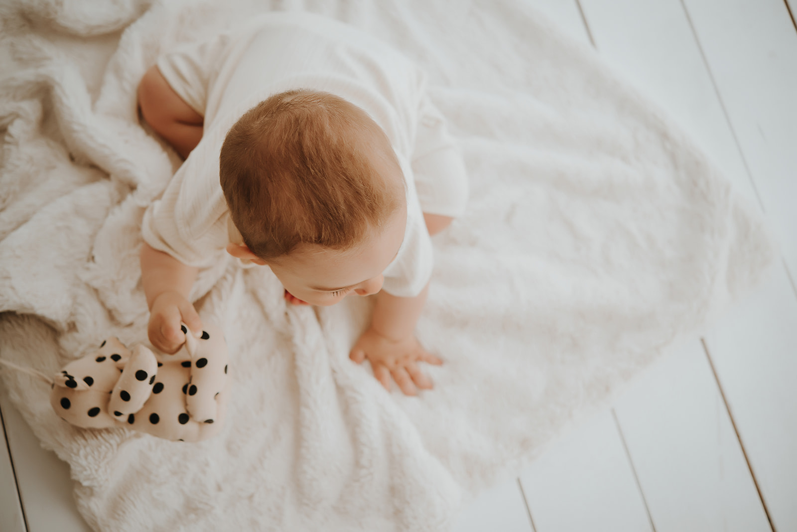 Precios Sesión bebés de meses 2025